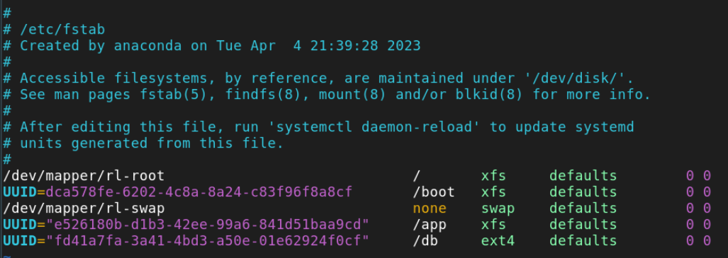 Both New Disks Added to <code>/etc/fstab</code>