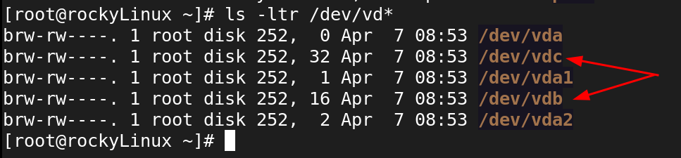 New Disks in the File System